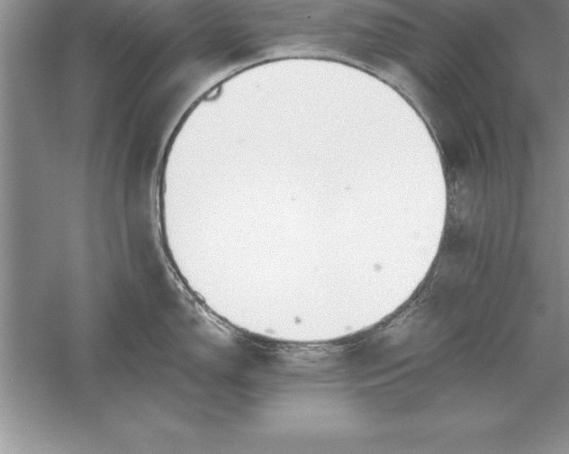 X0000055991150200509092013