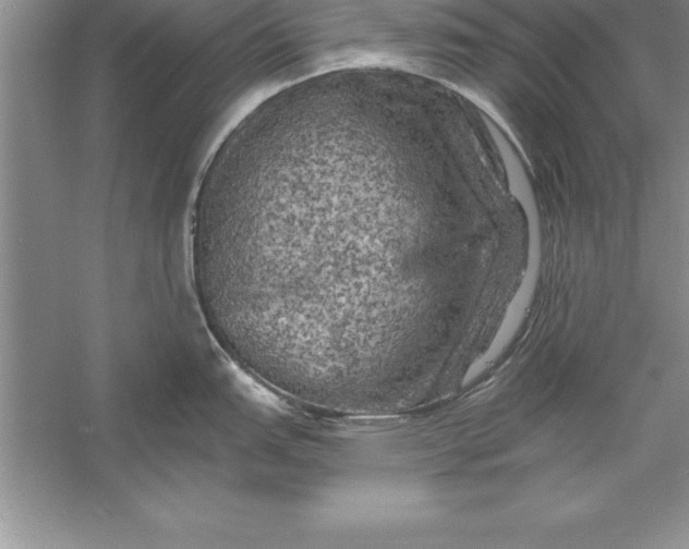 X0000055991151200509092013