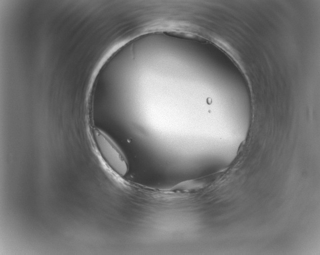 X0000055991152200509092013