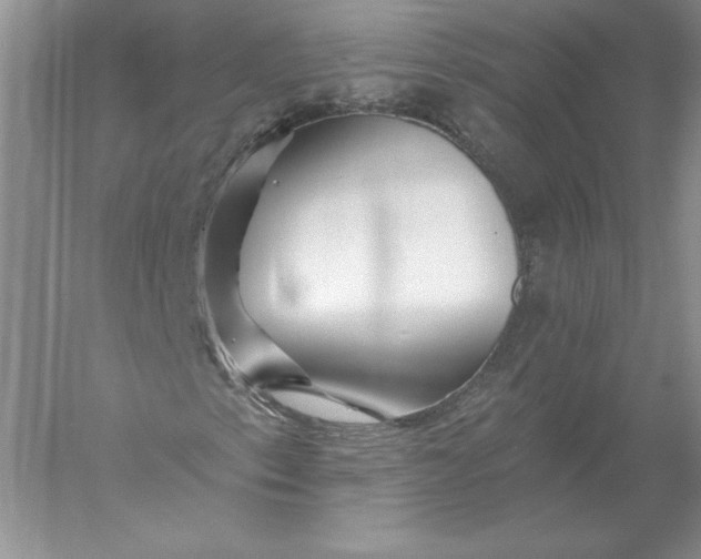 X0000055991153200509092012