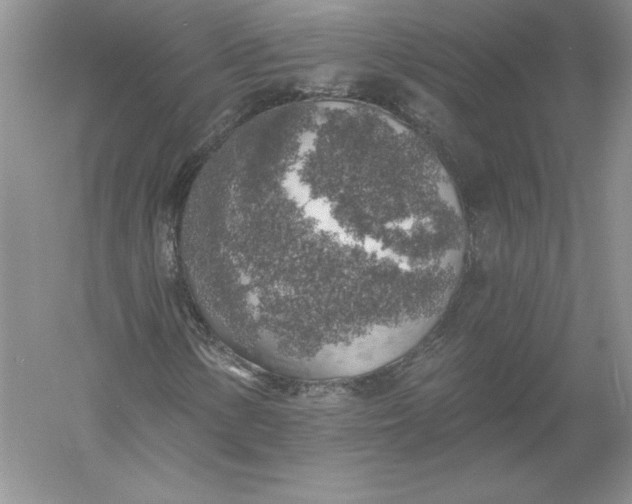 X0000055991154200509092012