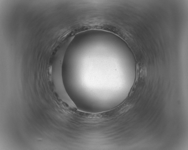 X0000055991156200509092012