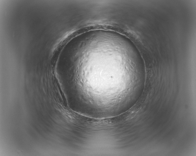 X0000055991159200509092012