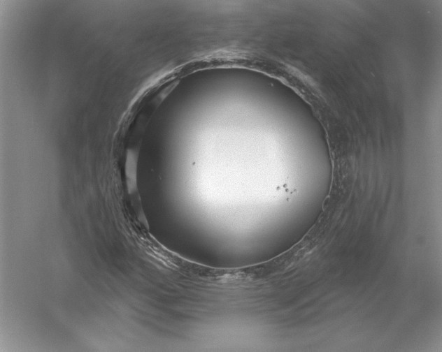 X0000055991160200509092012