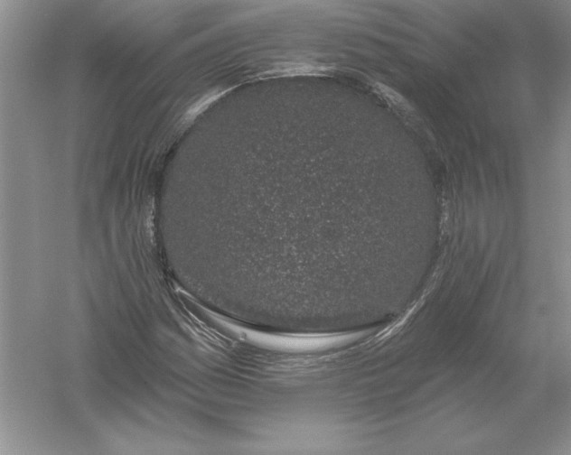 X0000055991161200509092012