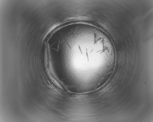 X0000055991163200509092012