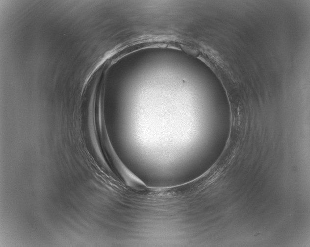 X0000055991165200509092012