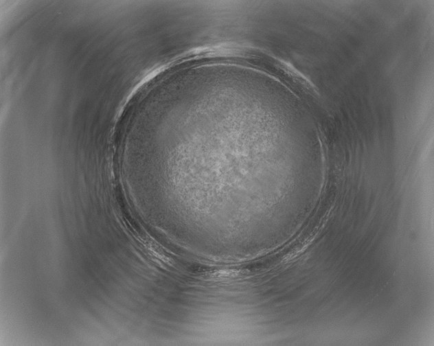 X0000055991166200509092012