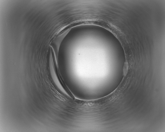 X0000055991169200509092012