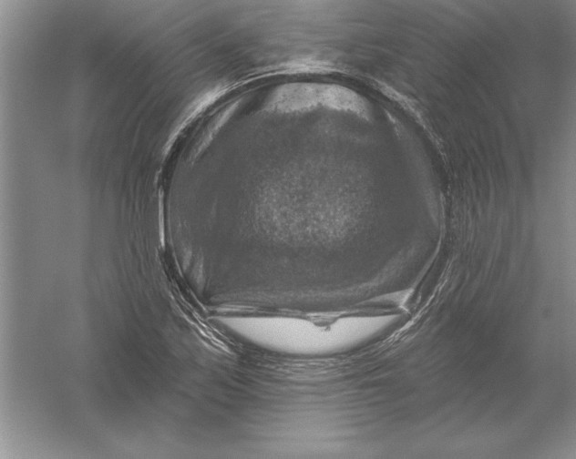 X0000055991171200509092012