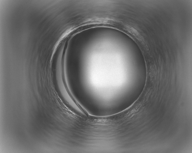 X0000055991172200509092011