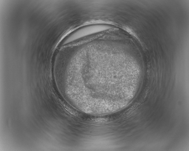 X0000055991173200509092011