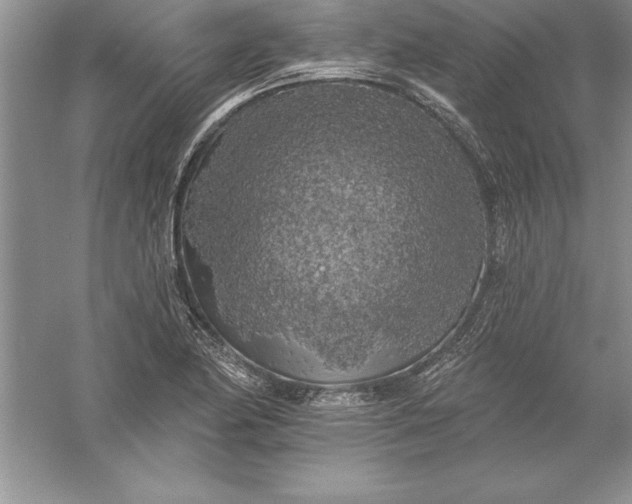 X0000055991174200509092011