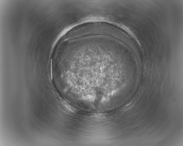 X0000055991175200509092011