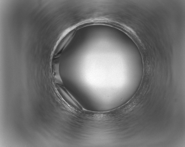 X0000055991176200509092011