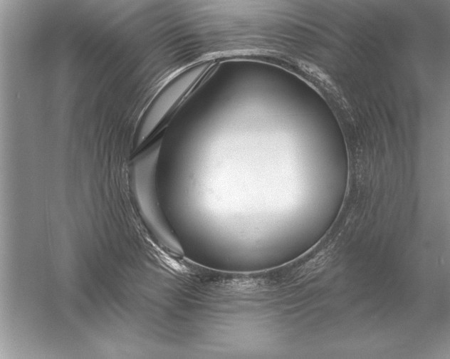 X0000055991177200509092011