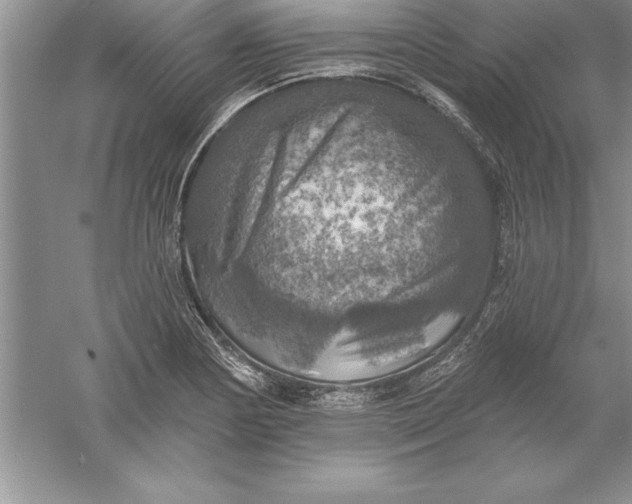 X0000055991178200509092011