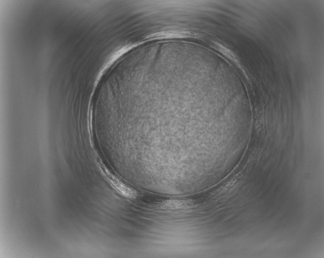 X0000055991179200509092011