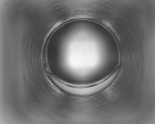 X0000055991181200509092011