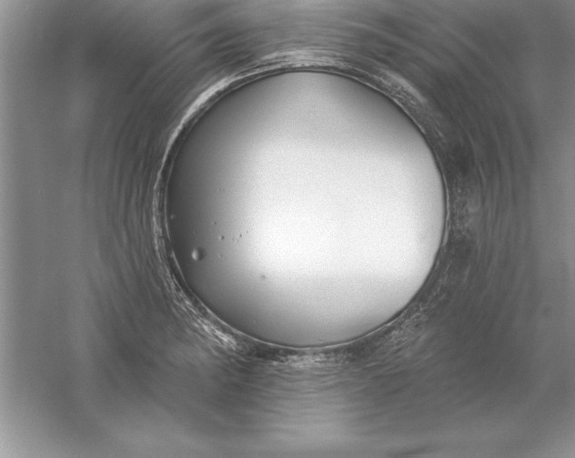 X0000055991182200509092011