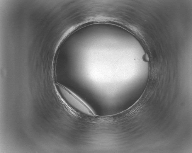 X0000055991183200509092011