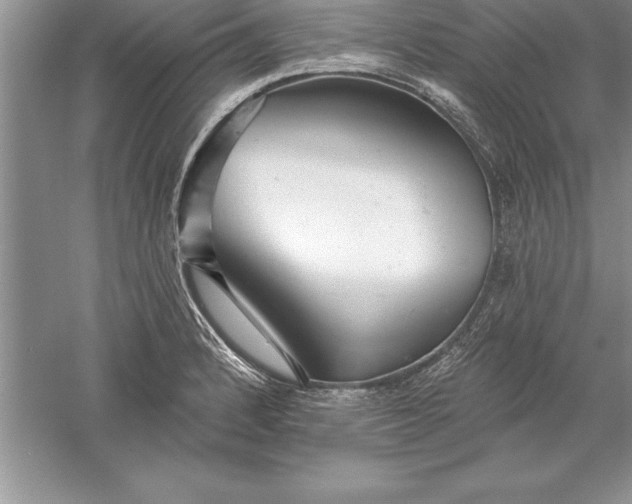 X0000055991184200509092011