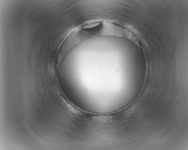 X0000055991185200509092011