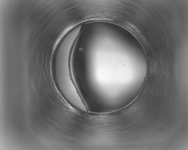 X0000055991188200509092011