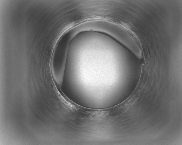 X0000055991189200509092011