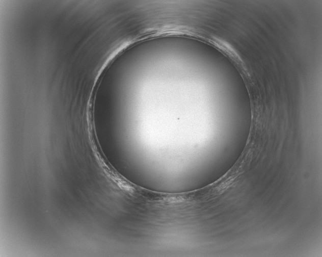 X0000055991190200509092011