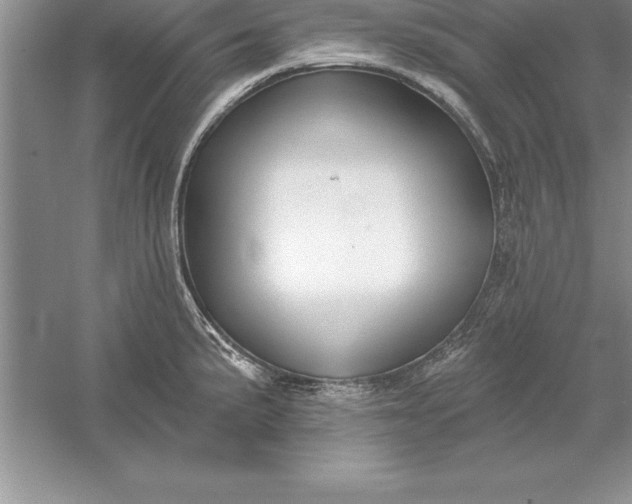 X0000055991191200509092011