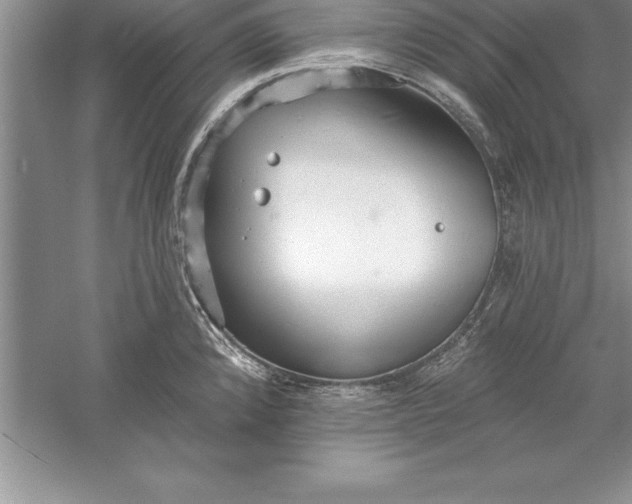 X0000055991192200509092011