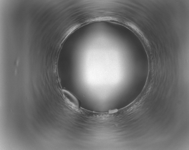 X0000055991193200509092011