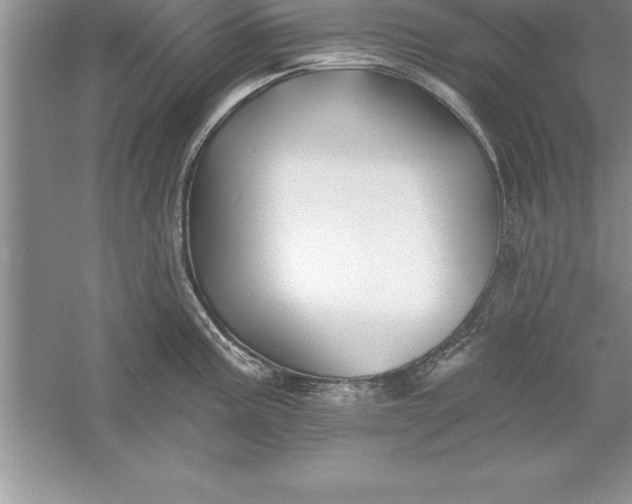 X0000055991195200509092011