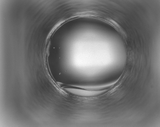 X0000055991196200509092011