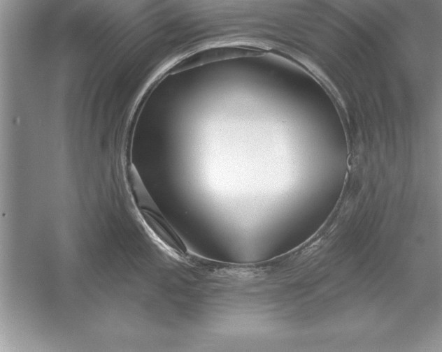 X0000055991197200509092011