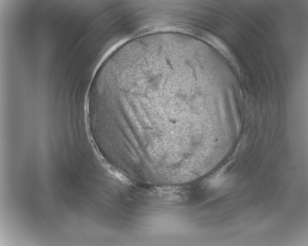 X0000055991198200509092011