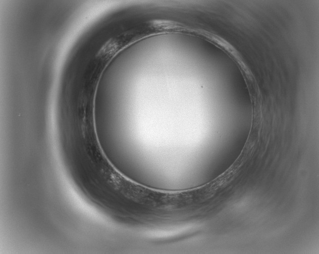 X0000055991199200509092011