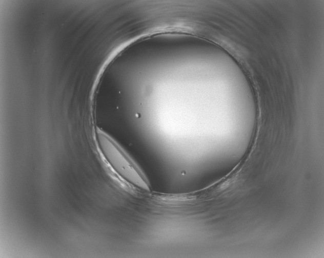 X0000055991200200509092011