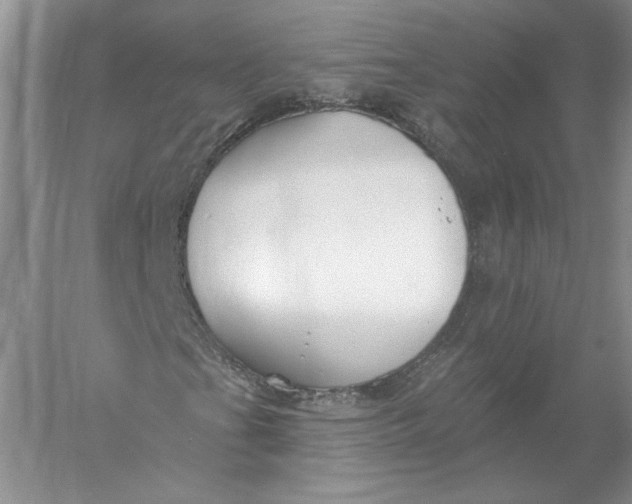 X0000055991201200509092010