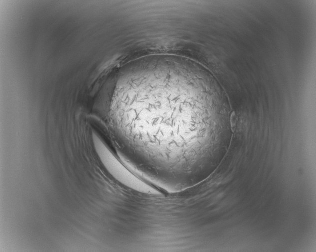 X0000055991202200509092010