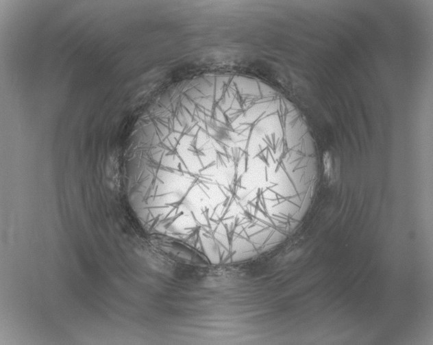 X0000055991203200509092010