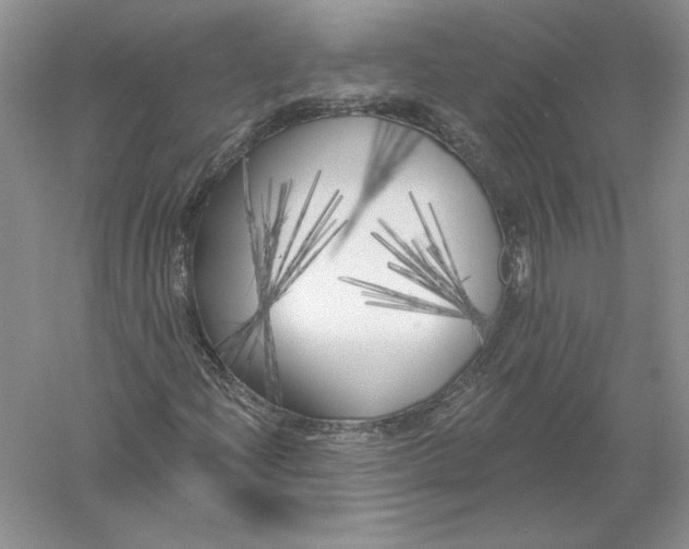 X0000055991204200509092010