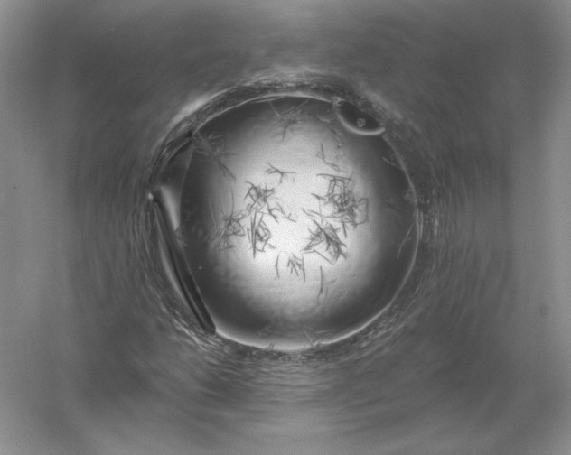 X0000055991206200509092010