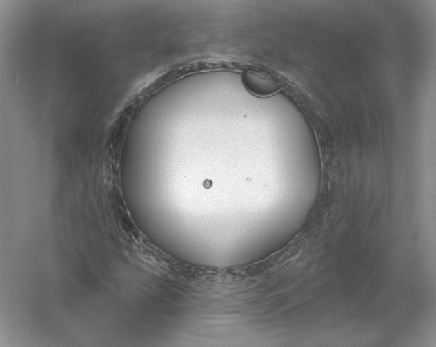 X0000055991207200509092010