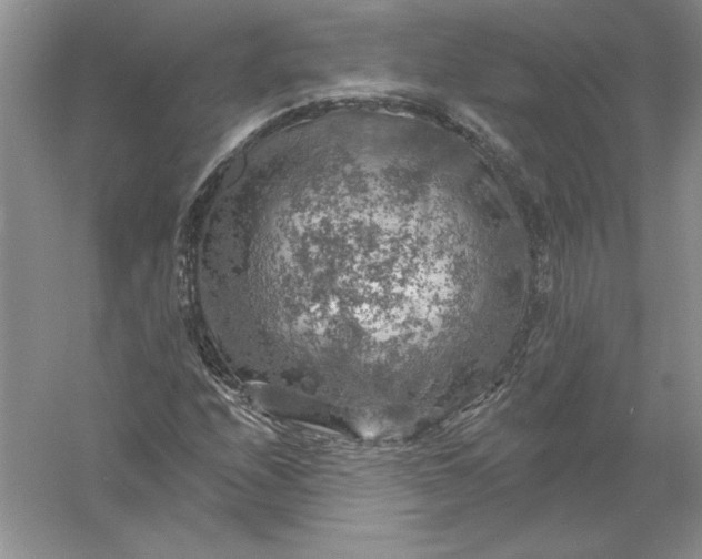 X0000055991208200509092010