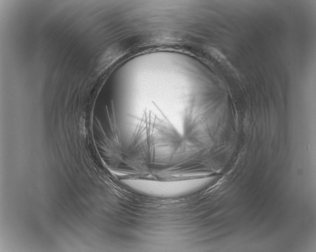 X0000055991209200509092010