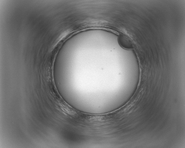 X0000055991211200509092010