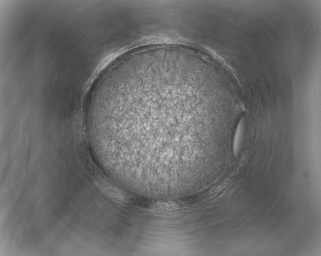 X0000055991215200509092010