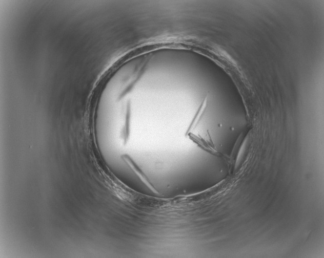 X0000055991216200509092010